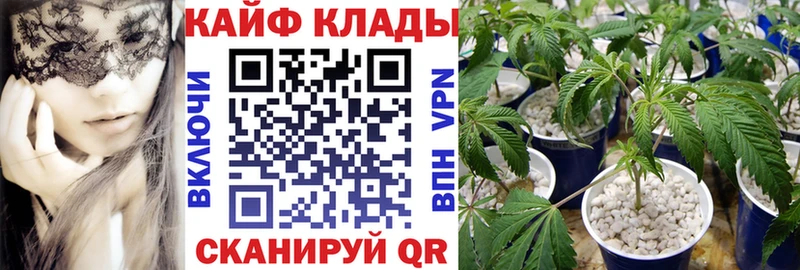 Виды наркотиков купить Кушва Амфетамин  Марихуана  Мефедрон  ГАШ 