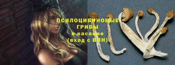 трава Балахна