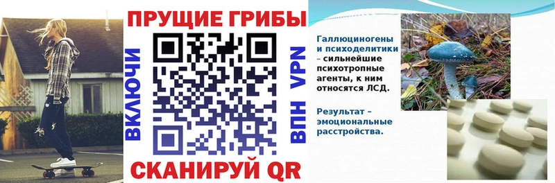 мега ссылки  Кушва  Псилоцибиновые грибы Magic Shrooms 