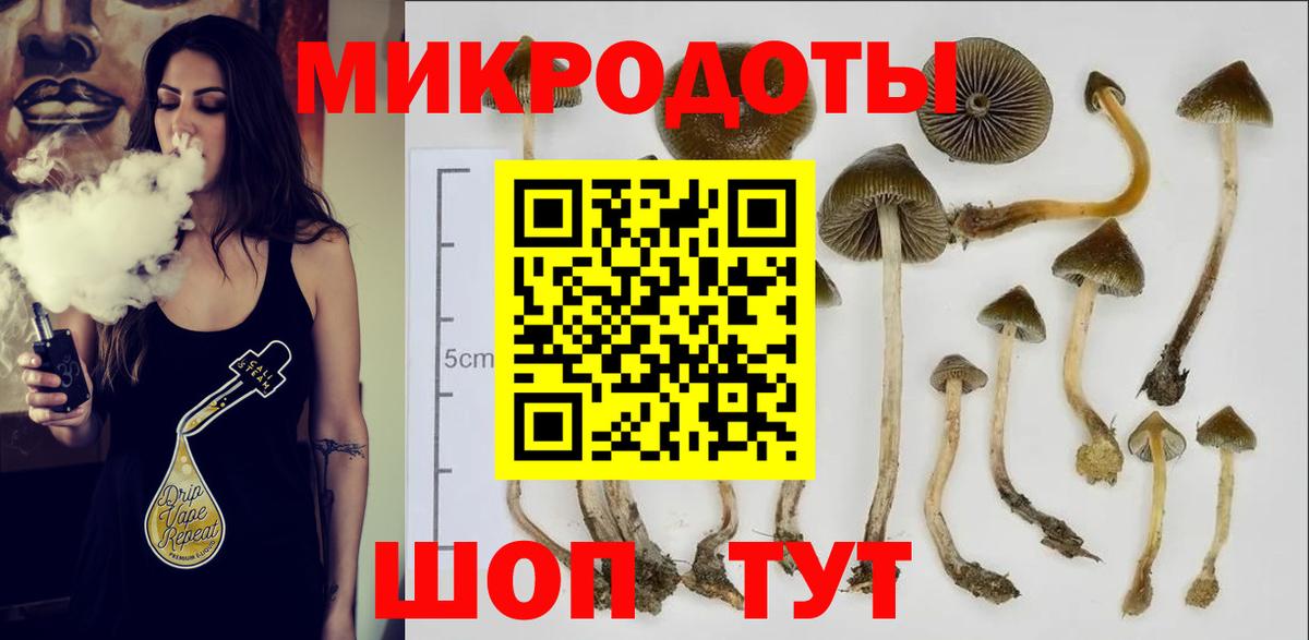 Кушва  Псилоцибиновые грибы мицелий  Вход с VPN 