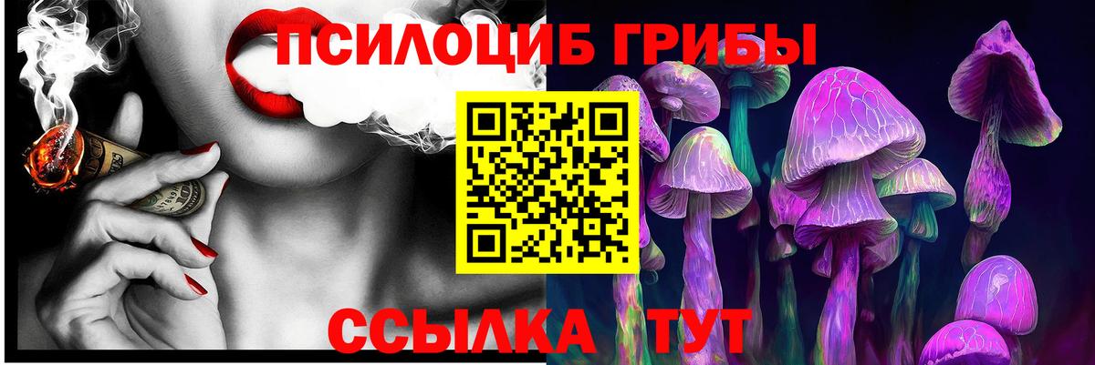 Галлюциногенные грибы мицелий Кушва