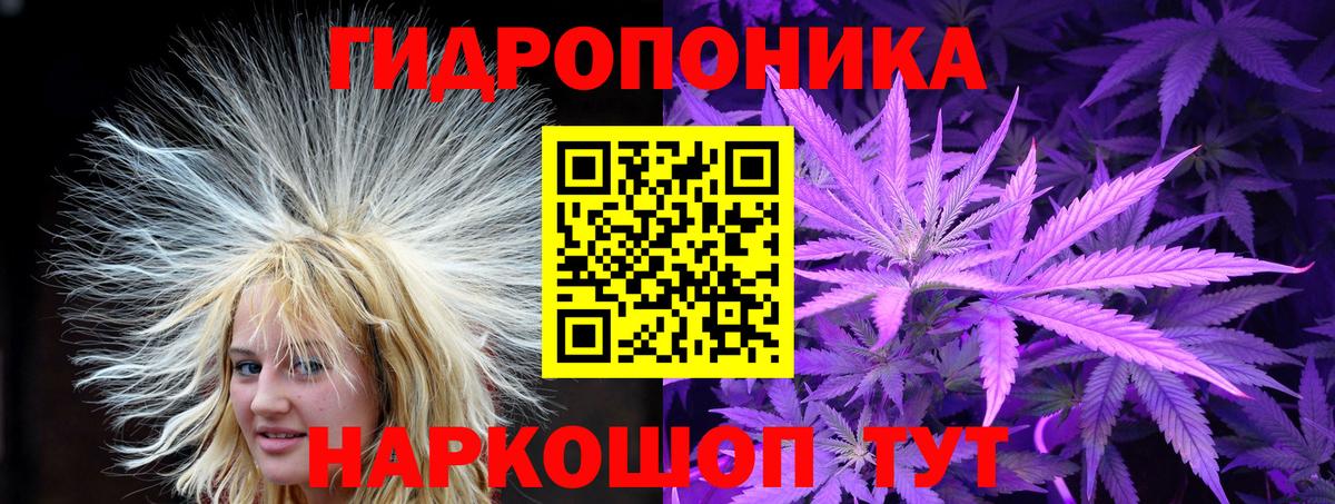 Бошки марихуана планчик Кушва